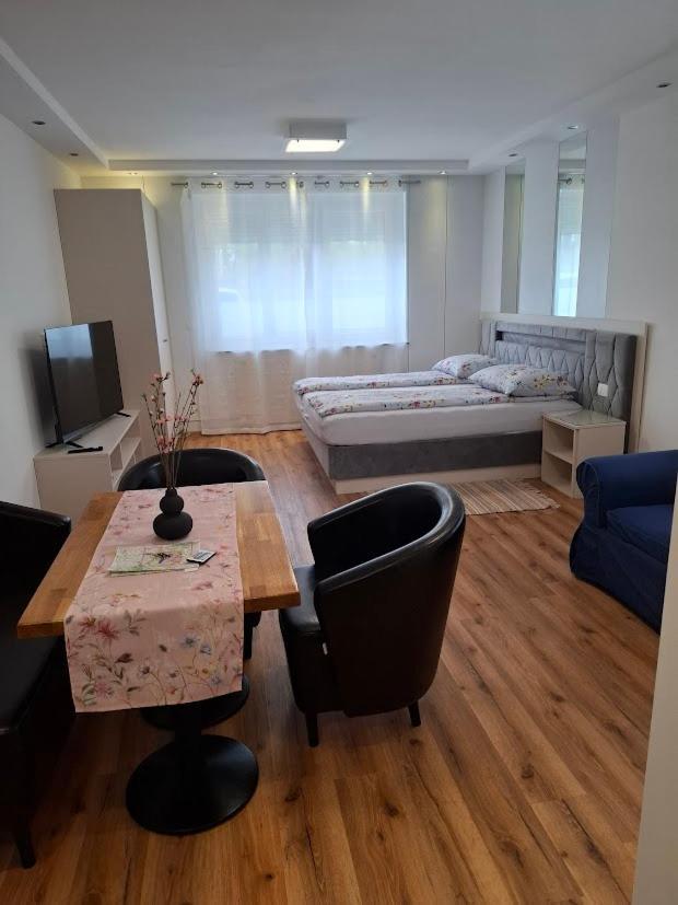 Vila Ema Apartments And Rooms Ljubljana Bagian luar foto