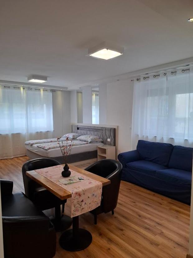 Vila Ema Apartments And Rooms Ljubljana Bagian luar foto