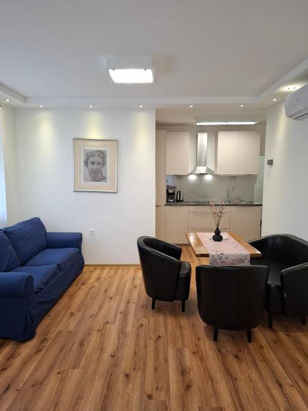Vila Ema Apartments And Rooms Ljubljana Bagian luar foto