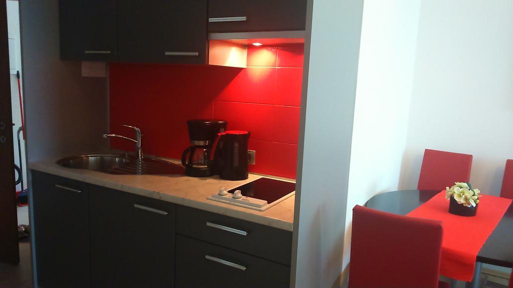 Vila Ema Apartments And Rooms Ljubljana Bagian luar foto