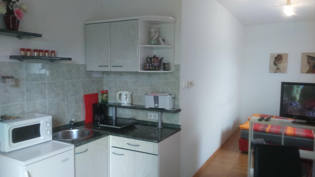 Vila Ema Apartments And Rooms Ljubljana Bagian luar foto