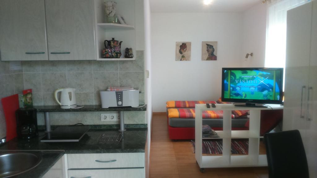Vila Ema Apartments And Rooms Ljubljana Bagian luar foto