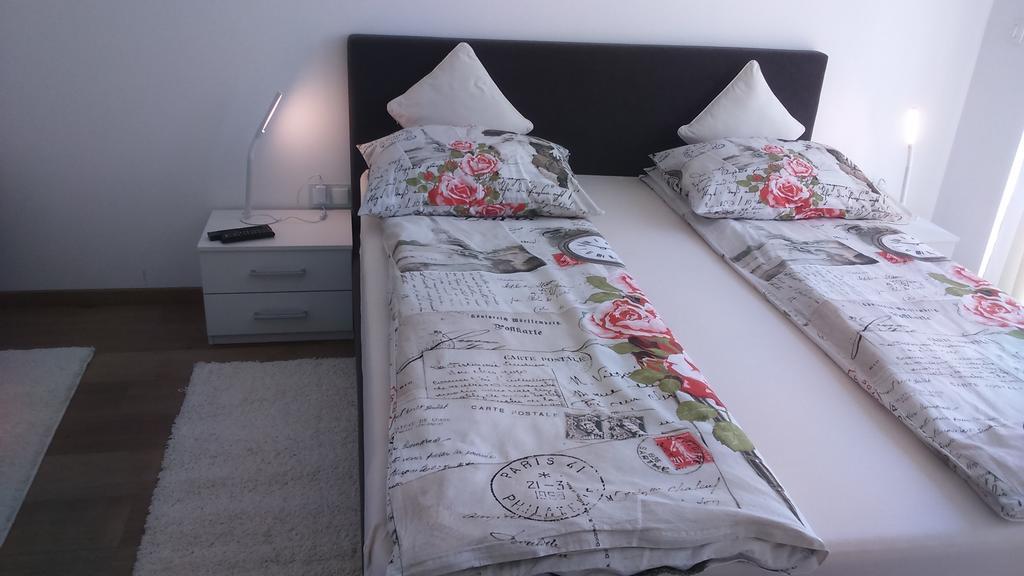 Vila Ema Apartments And Rooms Ljubljana Bagian luar foto