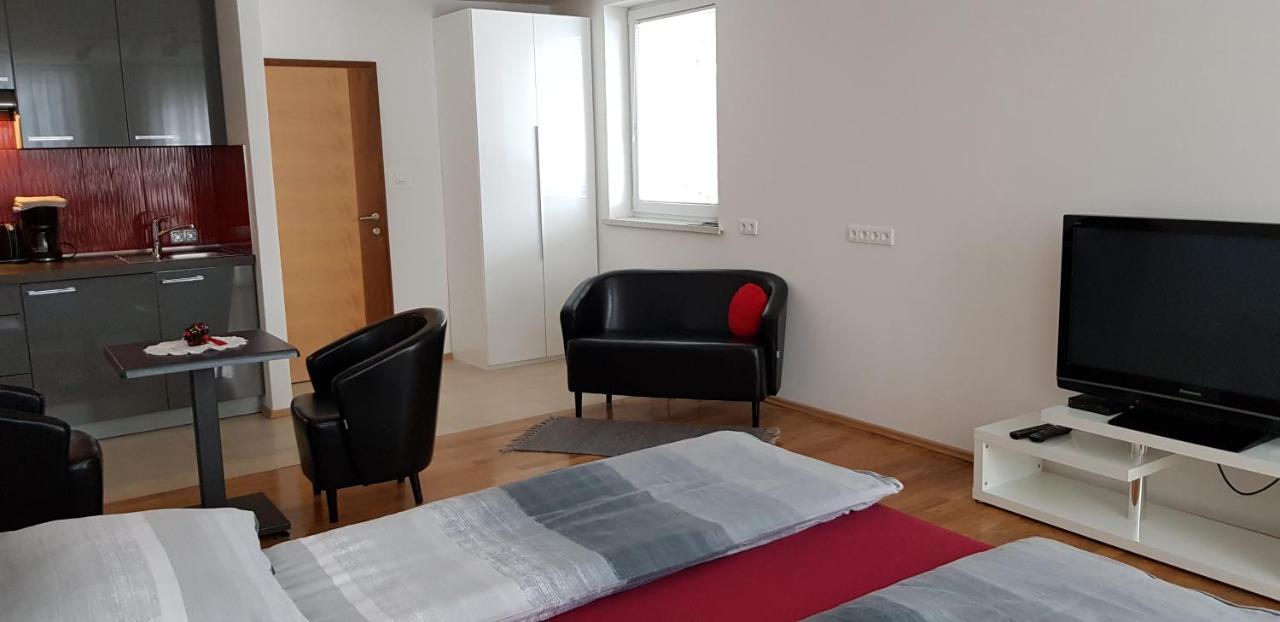 Vila Ema Apartments And Rooms Ljubljana Bagian luar foto