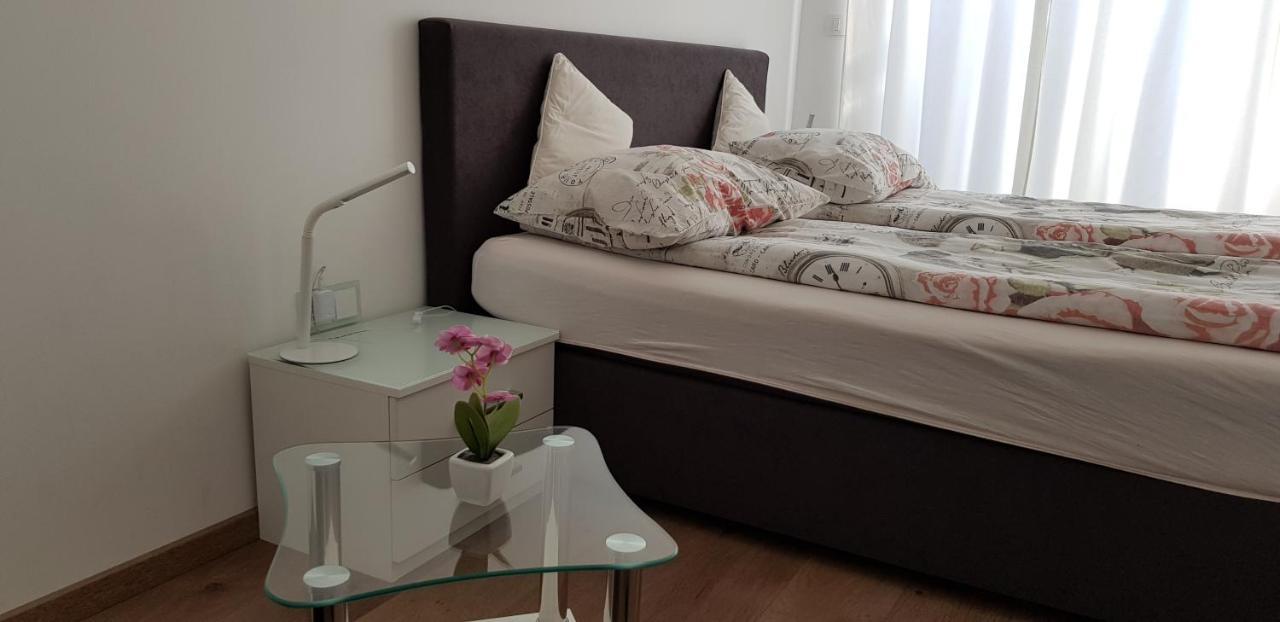 Vila Ema Apartments And Rooms Ljubljana Bagian luar foto